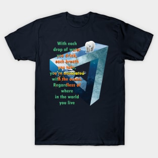 Earth Day Everyday Earth Day - Planet Anniversary 2023. T-Shirt